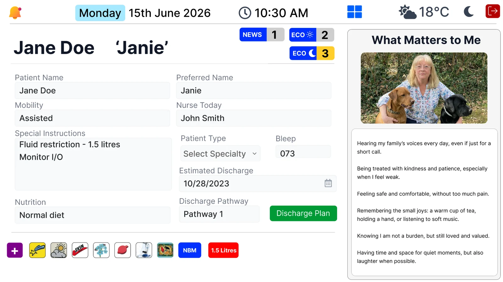 Illustrative Bedbord interface with patient information and a What Matters to Me section